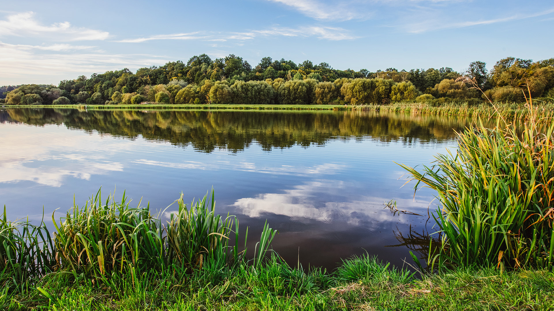 Lakes and lagoons